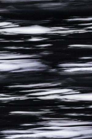 黑底花卉印花华亿平台图片