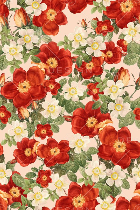 田园印花华亿平台图片