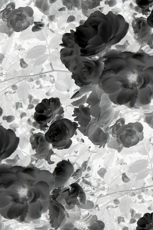 黑白华亿平台印花华亿平台图片