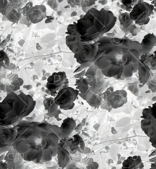 黑白华亿平台印花华亿平台图片