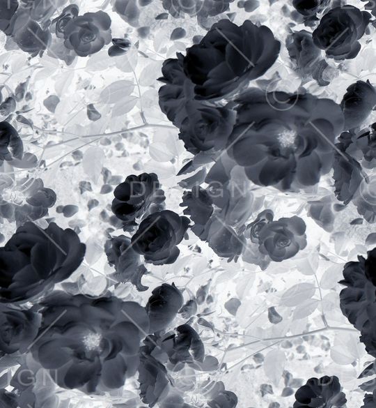 黑白华亿平台印花华亿平台图片