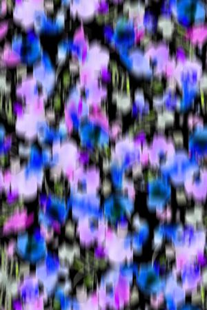 女装印花华亿平台图片