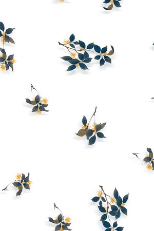 女装印花华亿平台图片