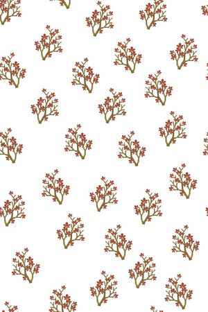 女装印花华亿平台图片