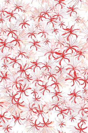 女装印花华亿平台图片