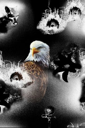 定位花印花华亿平台图片