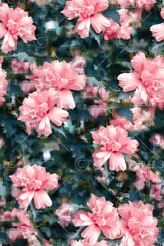 绿植树叶印花华亿平台图片