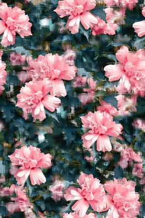 绿植树叶印花华亿平台图片