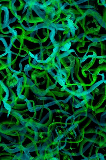 1521799-JX20220076-3