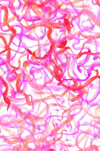 1521800-JX20220076-4