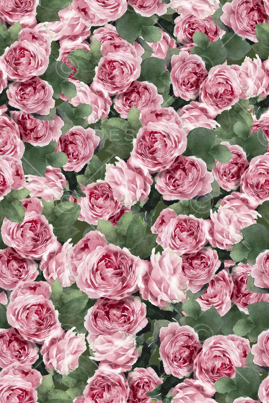 玫瑰花印花华亿平台图片