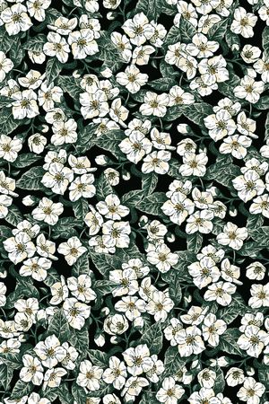 女装印花华亿平台图片