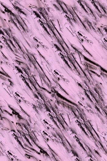 1522045-SS20221009-d