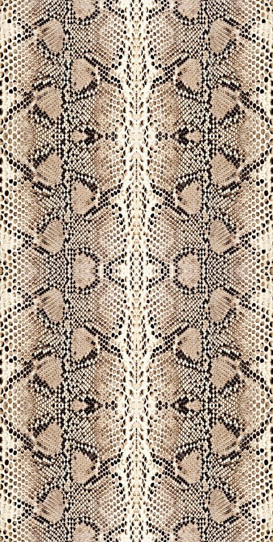 蛇纹印花华亿平台图片