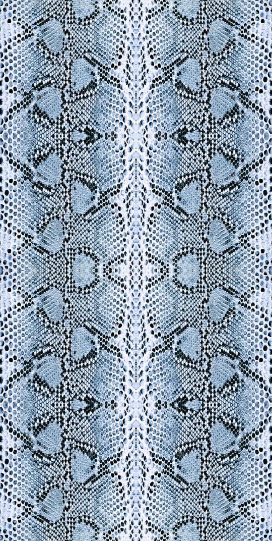 蛇纹印花华亿平台图片