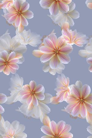 清爽底花卉印花华亿平台图片