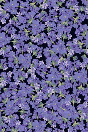 女装印花华亿平台图片