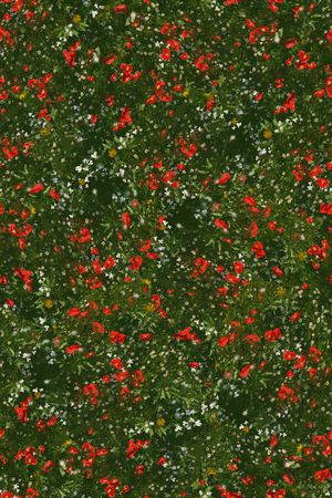 女装印花华亿平台图片