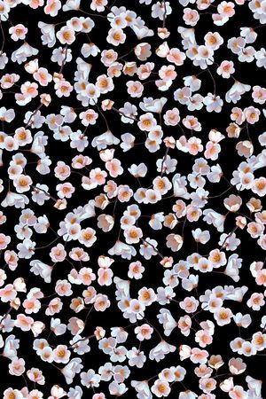 清爽底花卉印花华亿平台图片