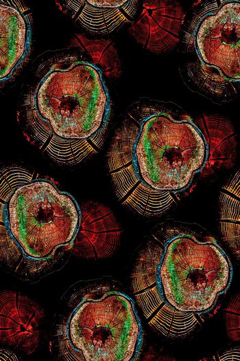 肌理印花华亿平台图片