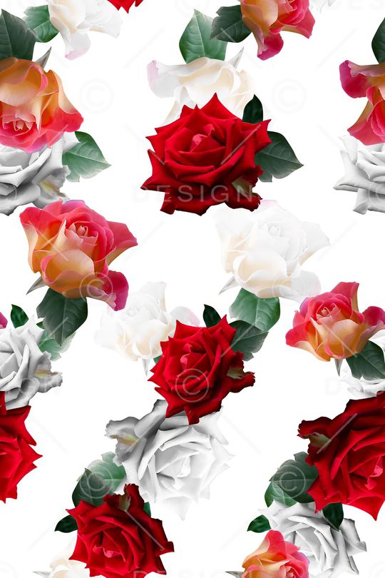 玫瑰花印花华亿平台图片