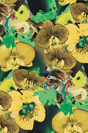 蝴蝶兰印花华亿平台图片