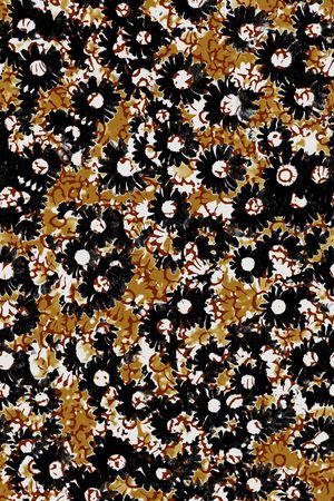 连衣裙印花华亿平台图片