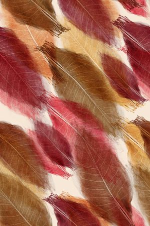 绿植树叶印花华亿平台图片