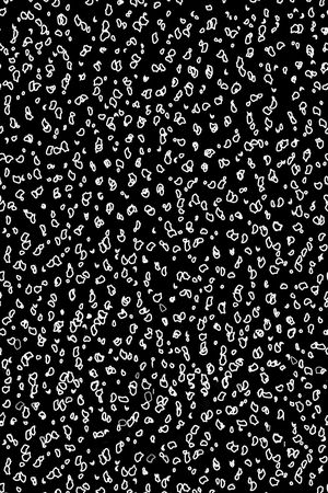 休闲印花华亿平台图片