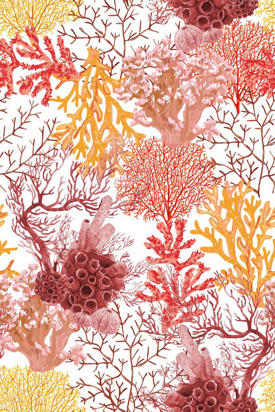 珊瑚印花华亿平台图片