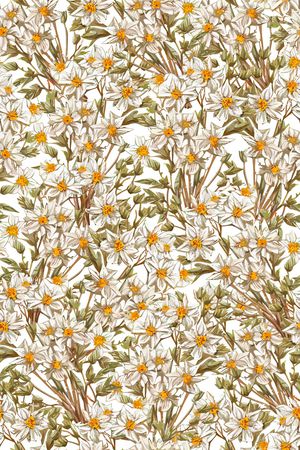 女装印花华亿平台图片