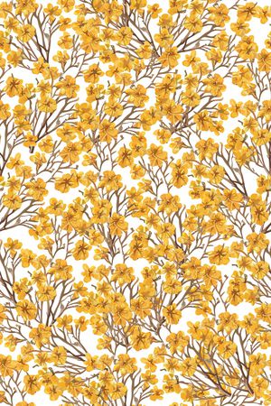 女装印花华亿平台图片