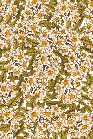 女装印花华亿平台图片