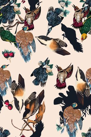 鸟印花华亿平台图片