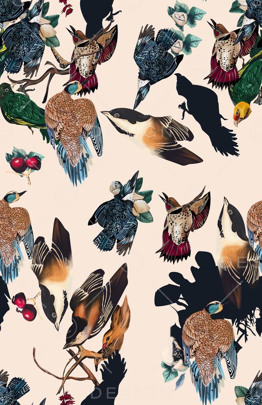 鸟印花华亿平台图片