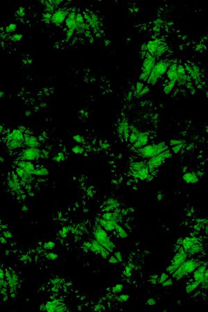 男装印花华亿平台图片