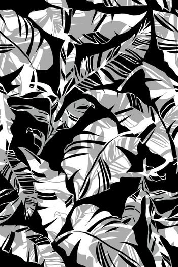 黑白华亿平台印花华亿平台图片