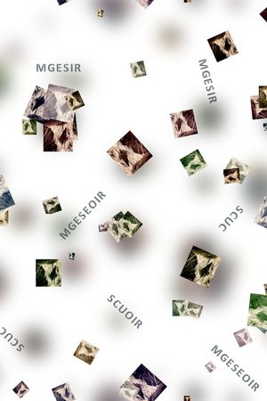 字母印花华亿平台图片