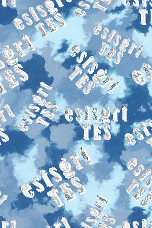 字母印花华亿平台图片