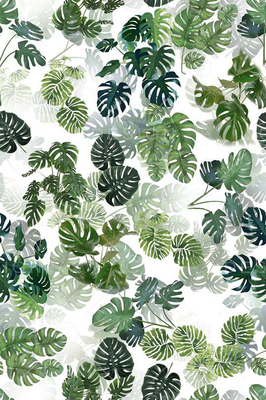 大牌风印花华亿平台图片