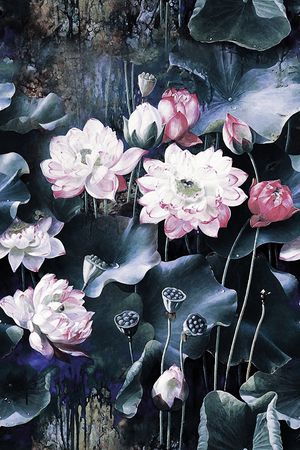 荷花印花华亿平台图片