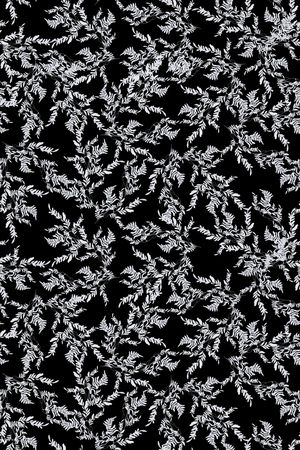 黑底花卉印花华亿平台图片