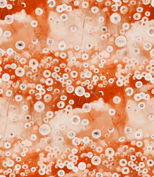 蒲公英印花华亿平台图片