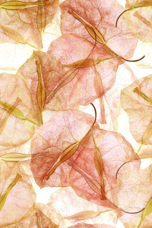 绿植树叶印花华亿平台图片