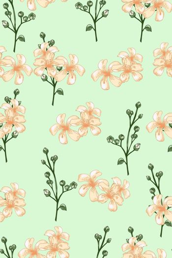 1525090-2023-1-01-01