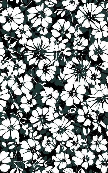 1525522-2260x40008-1