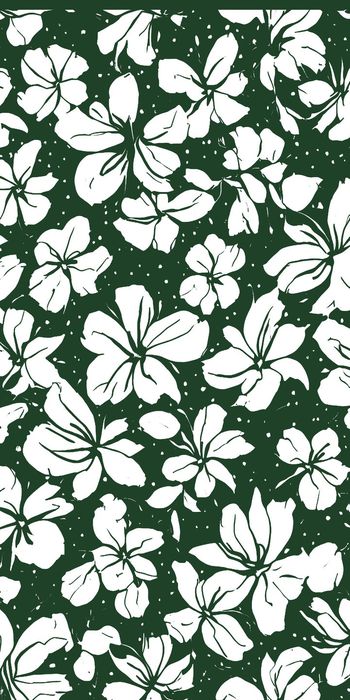 1525535-20215075121-2