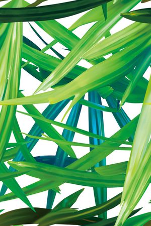 绿植树叶印花华亿平台图片