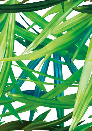 绿植树叶印花华亿平台图片