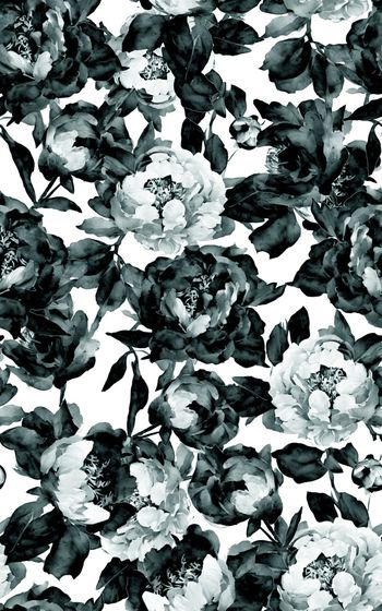 1525633-2260x40009-1